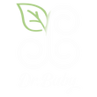 Dr. Baby